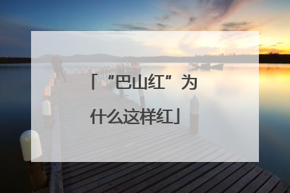 “巴山红”为什么这样红